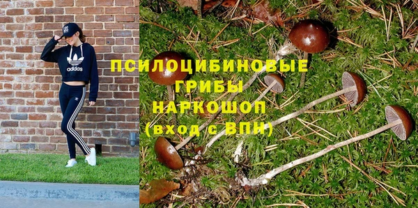 дмт Беломорск