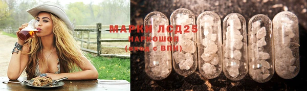 СК Белокуриха