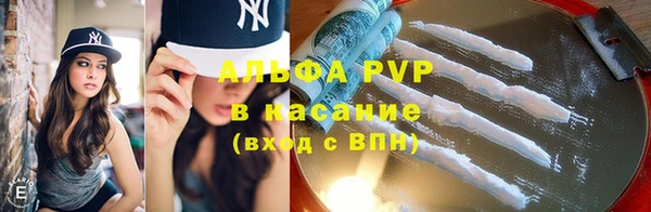 СК Белокуриха