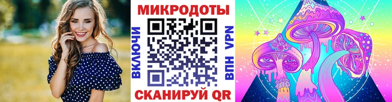 гидра как войти  Окуловка  Псилоцибиновые грибы Psilocybine cubensis 